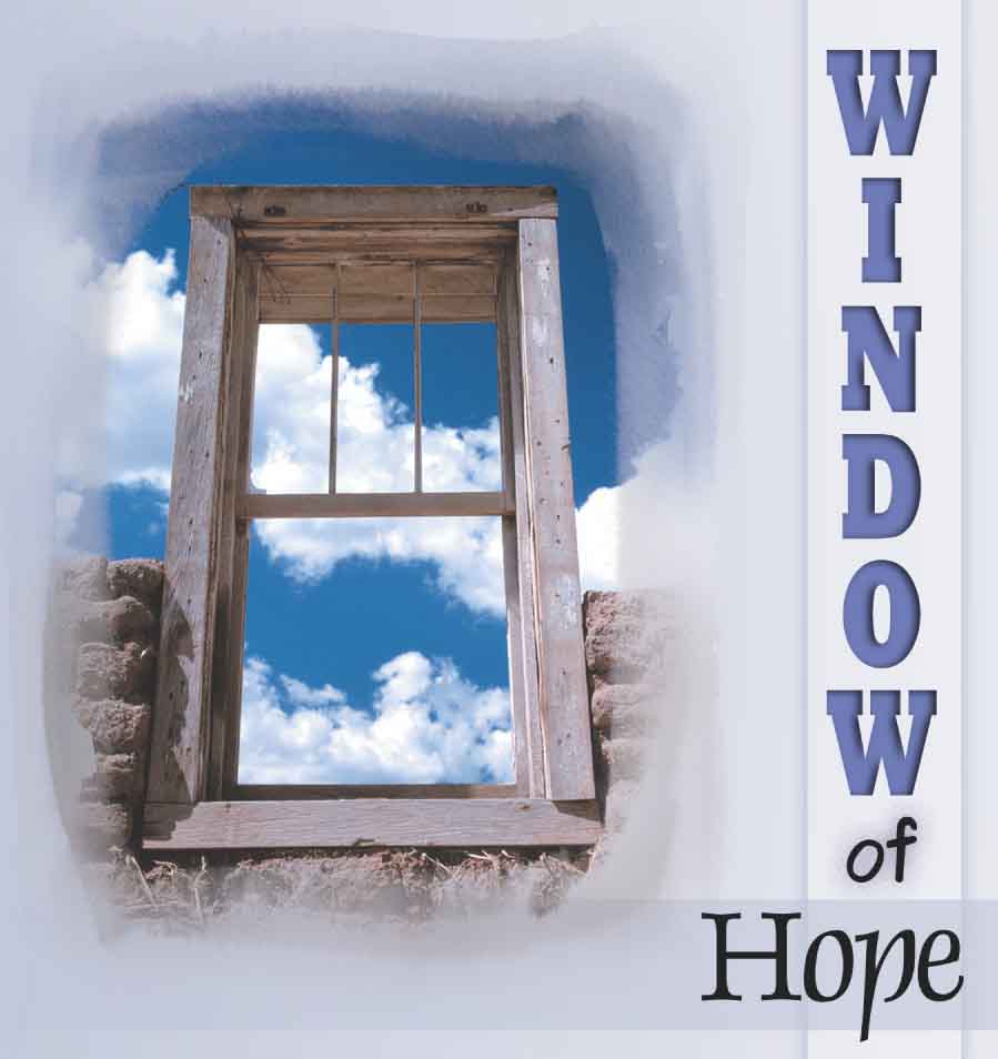 window.jpg (46138 bytes)